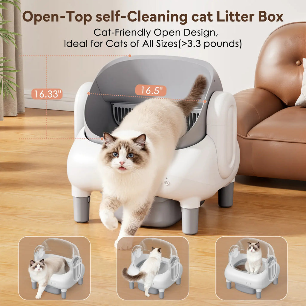 Automatic Litter Box for Multi-Cat Homes - Open-Top, APP Control, 2.4G Wifi Only, Safety Sensors, Odor Lock, 10.5L Large-Capacity Sealed Leak-Proof Waste Bin Self-Cleaning Cat Litter Tray