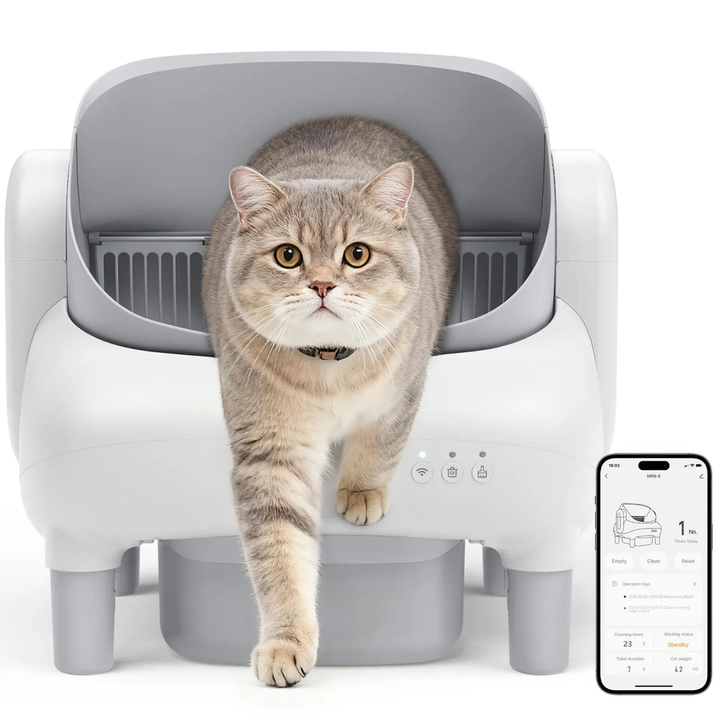 Automatic Litter Box for Multi-Cat Homes - Open-Top, APP Control, 2.4G Wifi Only, Safety Sensors, Odor Lock, 10.5L Large-Capacity Sealed Leak-Proof Waste Bin Self-Cleaning Cat Litter Tray