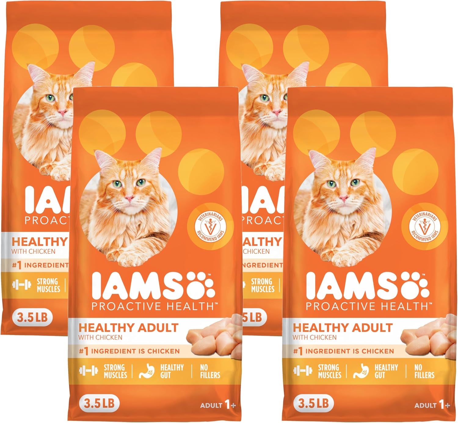 Proactive Health Healthy Adult Dry Cat Food, Chicken, 7 Lb | Veterinarian-Recommended, Real Chicken #1 Ingredient, Chicken & Egg Protein, Wholesome Grains for Energy, Supports Muscles