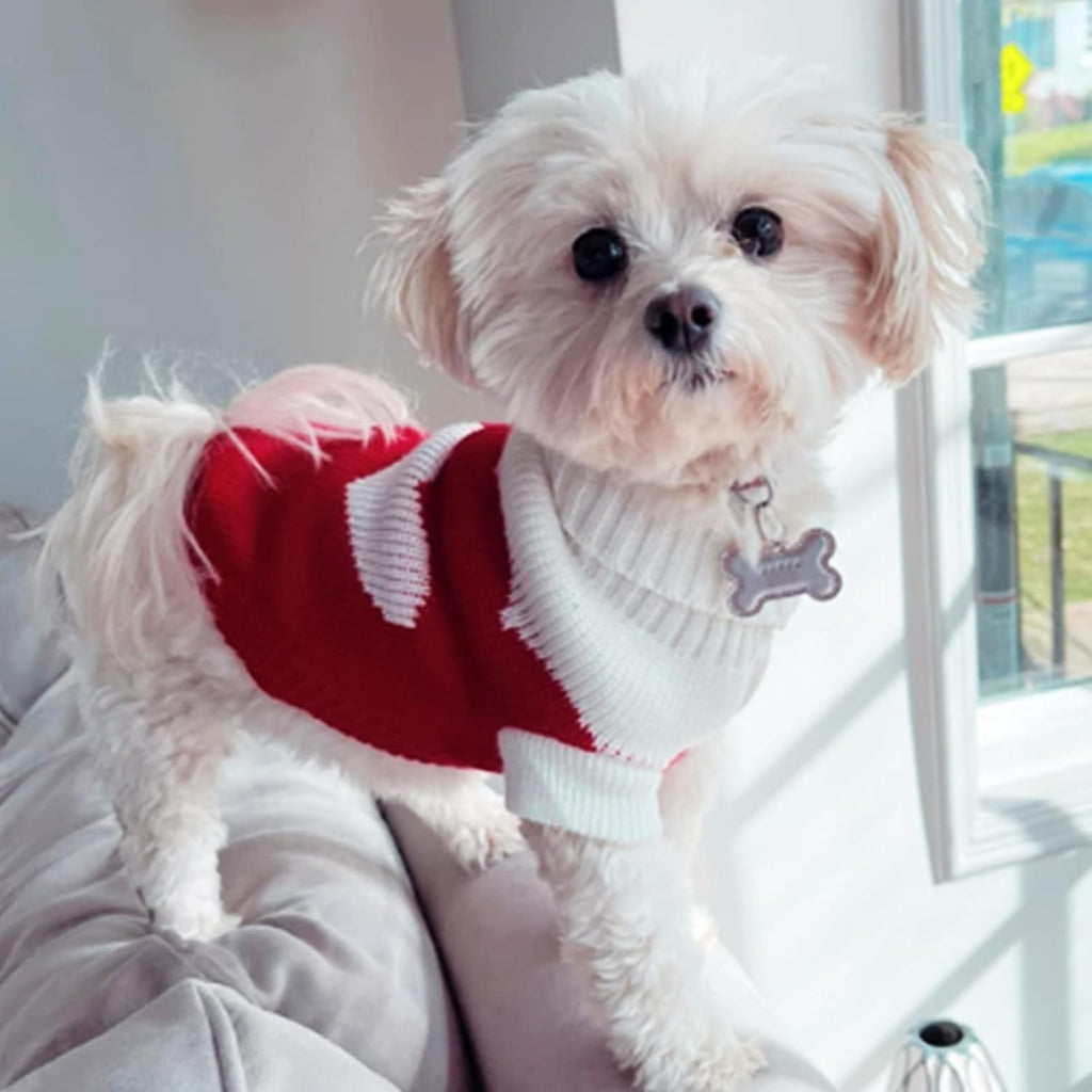 Pet Dog Sweaters Classic Knitwear Turtleneck Winter Warm Puppy Clothing Cute Strawberry and Heart Doggie Sweater (Red2, Xx-Small)