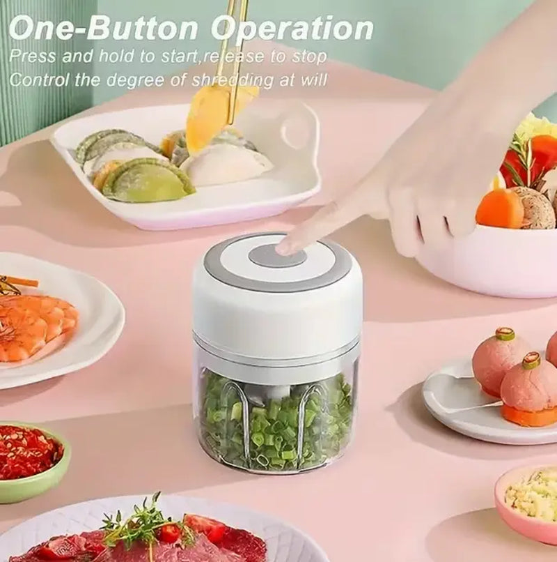 Portable Mini Multifunctional Electric Food Chopper, Single Speed Mincer for Veg, Tomato, Ginger Paste, Button Activated Mini Blender, Compact Kitchen Gadget for Baby Food, Seasoning & Daily Home Ingredient Prep for Small Family Home Cooking Daily Use