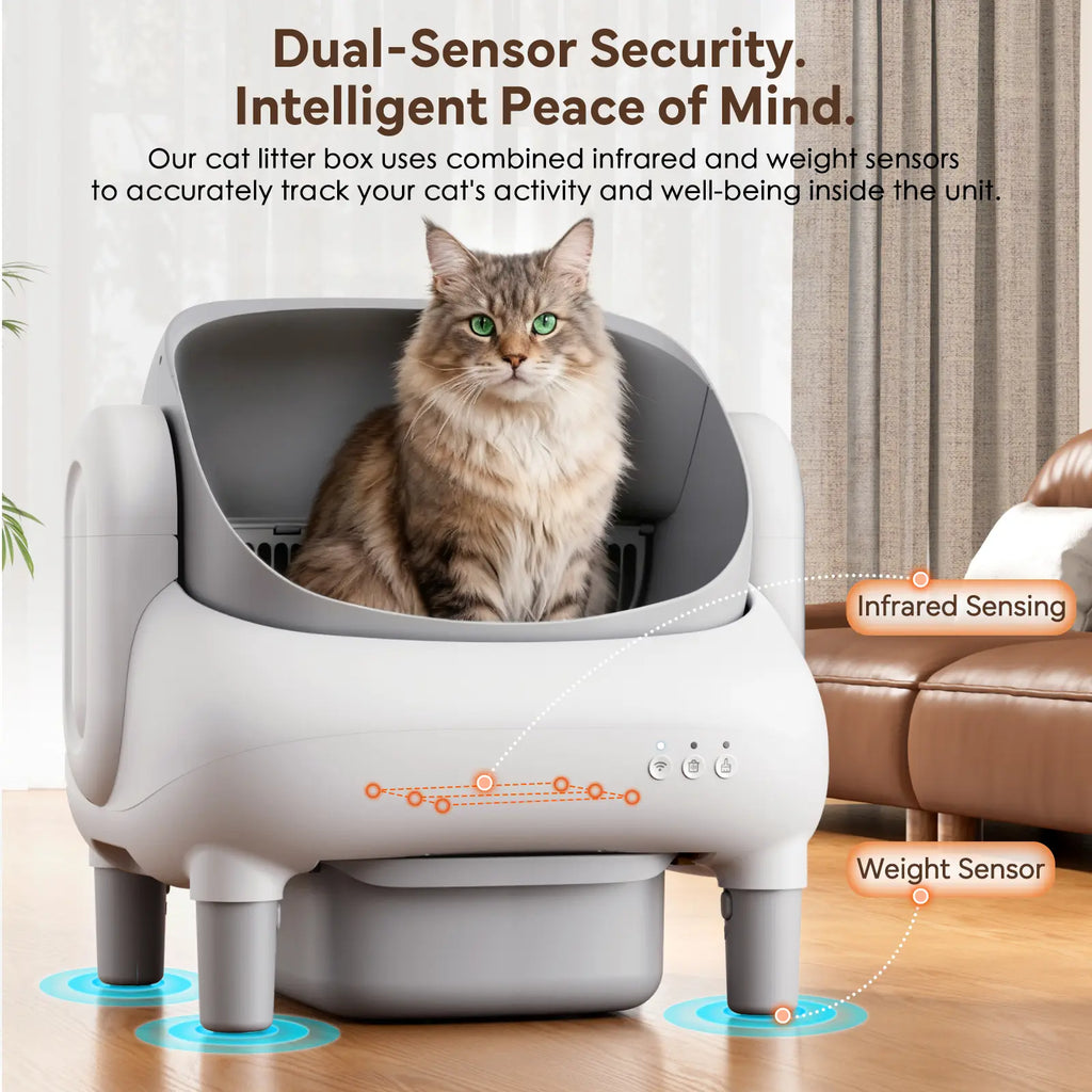 Automatic Litter Box for Multi-Cat Homes - Open-Top, APP Control, 2.4G Wifi Only, Safety Sensors, Odor Lock, 10.5L Large-Capacity Sealed Leak-Proof Waste Bin Self-Cleaning Cat Litter Tray