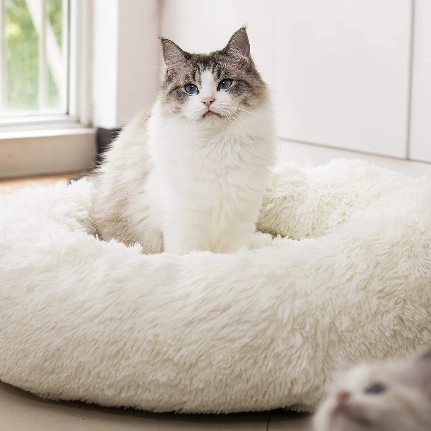 Calming Plush Pet Bed for Dogs & Cats – Ultra Soft Washable Anti-Anxiety Bed（20"/24"/27''） (27", White)
