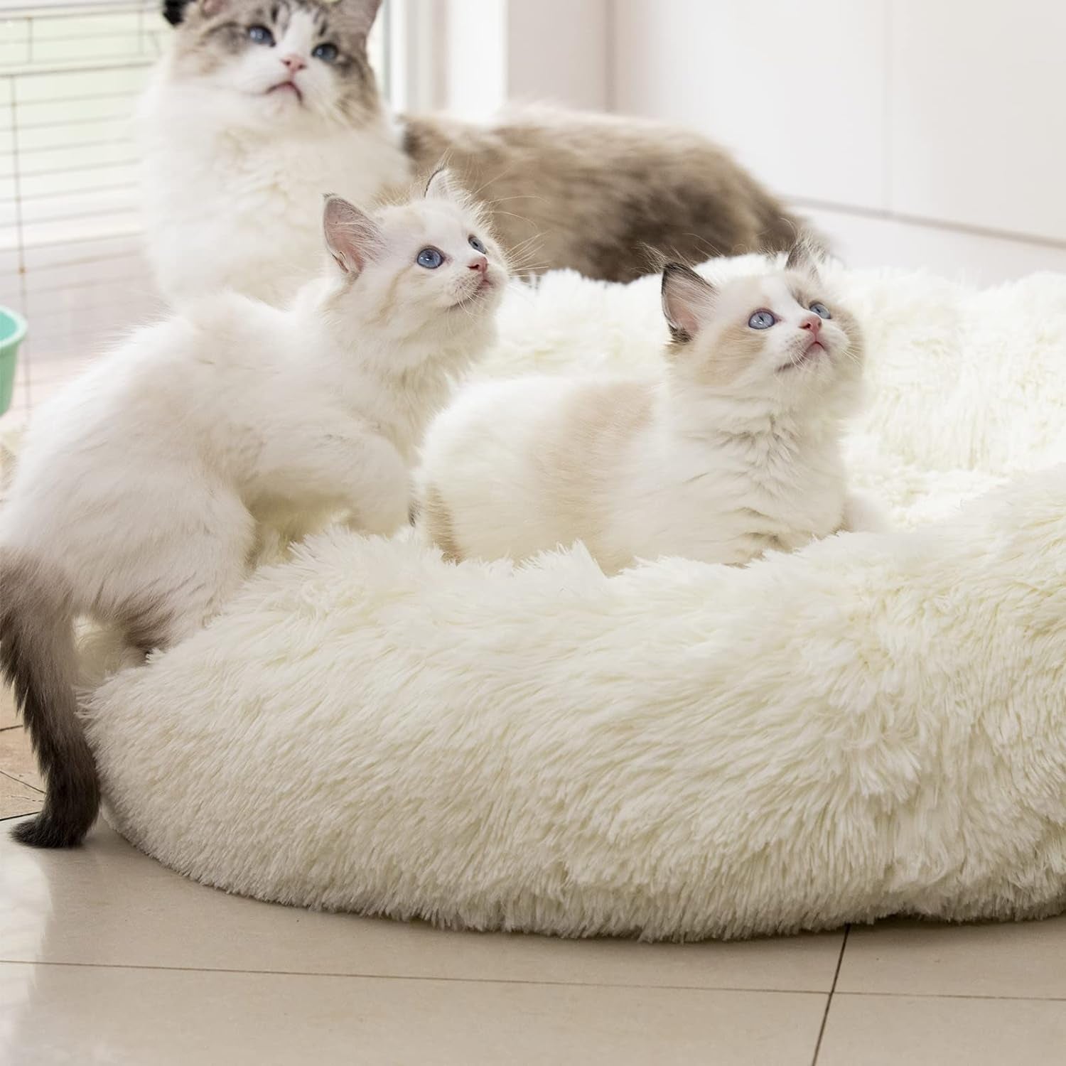 Calming Plush Pet Bed for Dogs & Cats – Ultra Soft Washable Anti-Anxiety Bed（20"/24"/27''） (27", White)