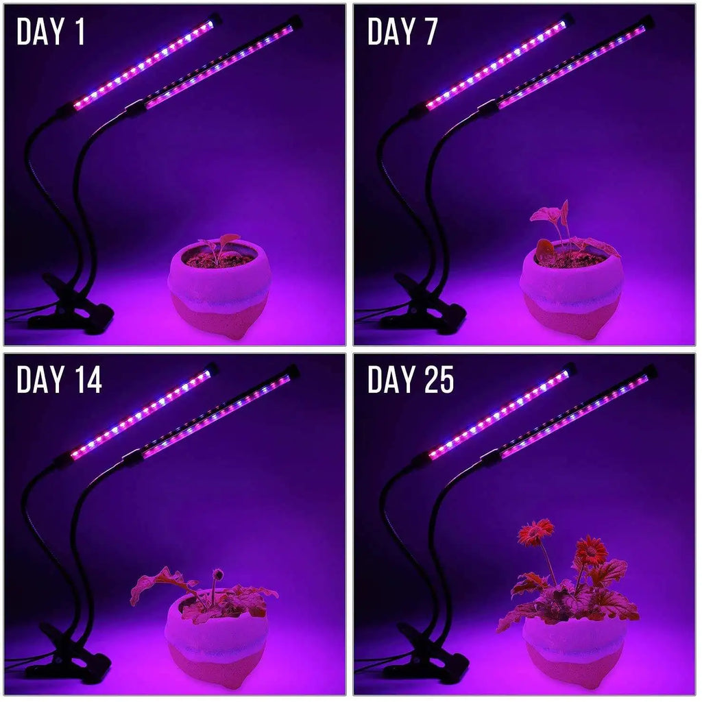 Grow Light Full Spectrum Timer Setting Hydroponic Greenhouse 3H/9H/12H