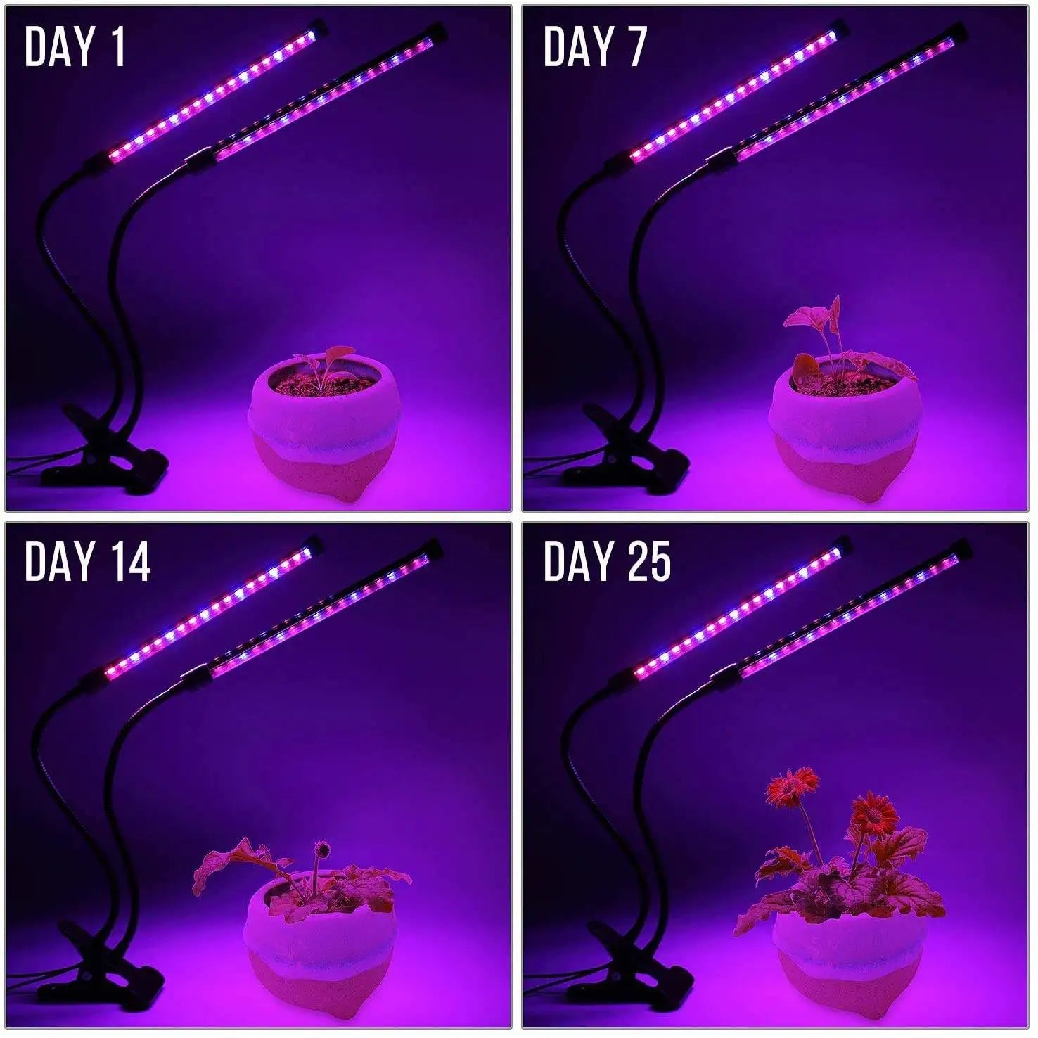 Grow Light Full Spectrum Timer Setting Hydroponic Greenhouse 3H/9H/12H