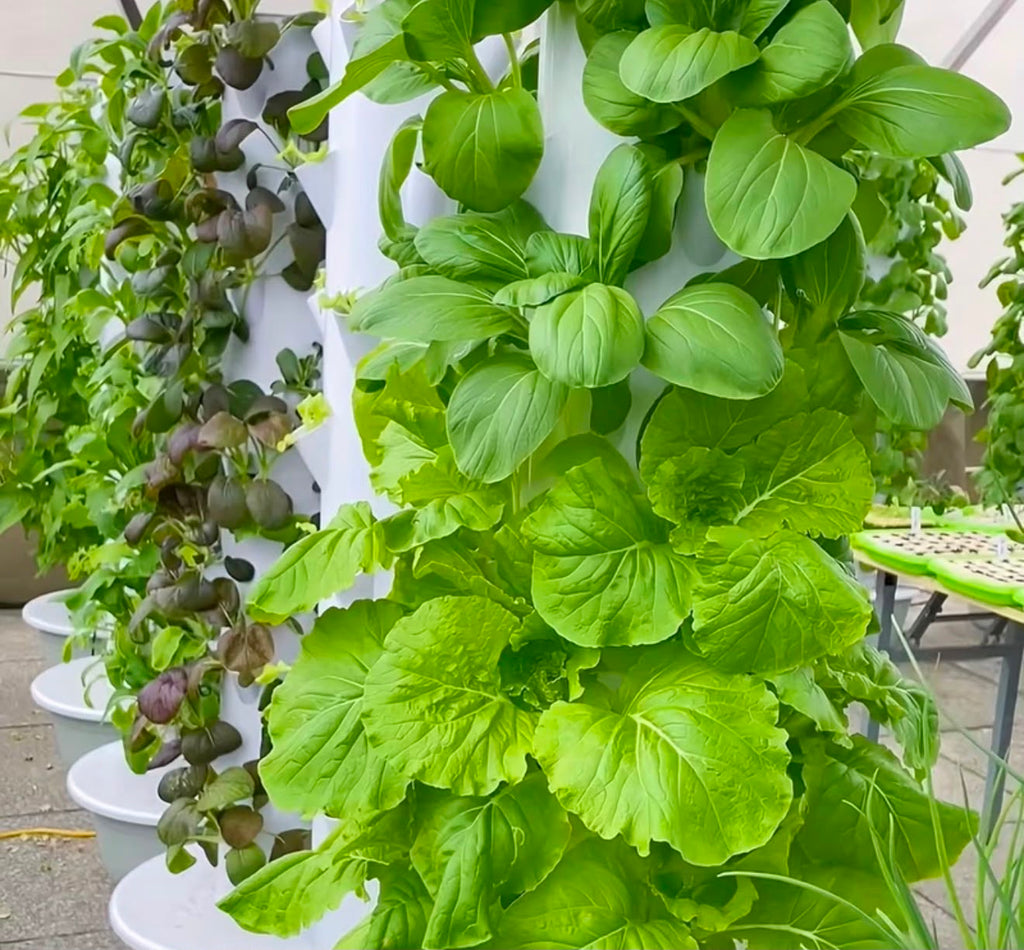 9 Row Tier Hydroponic Tower Vertical Hydroponic System Soilless Cultivation Rack Garden Vegetable Strawberry Planting Pipes