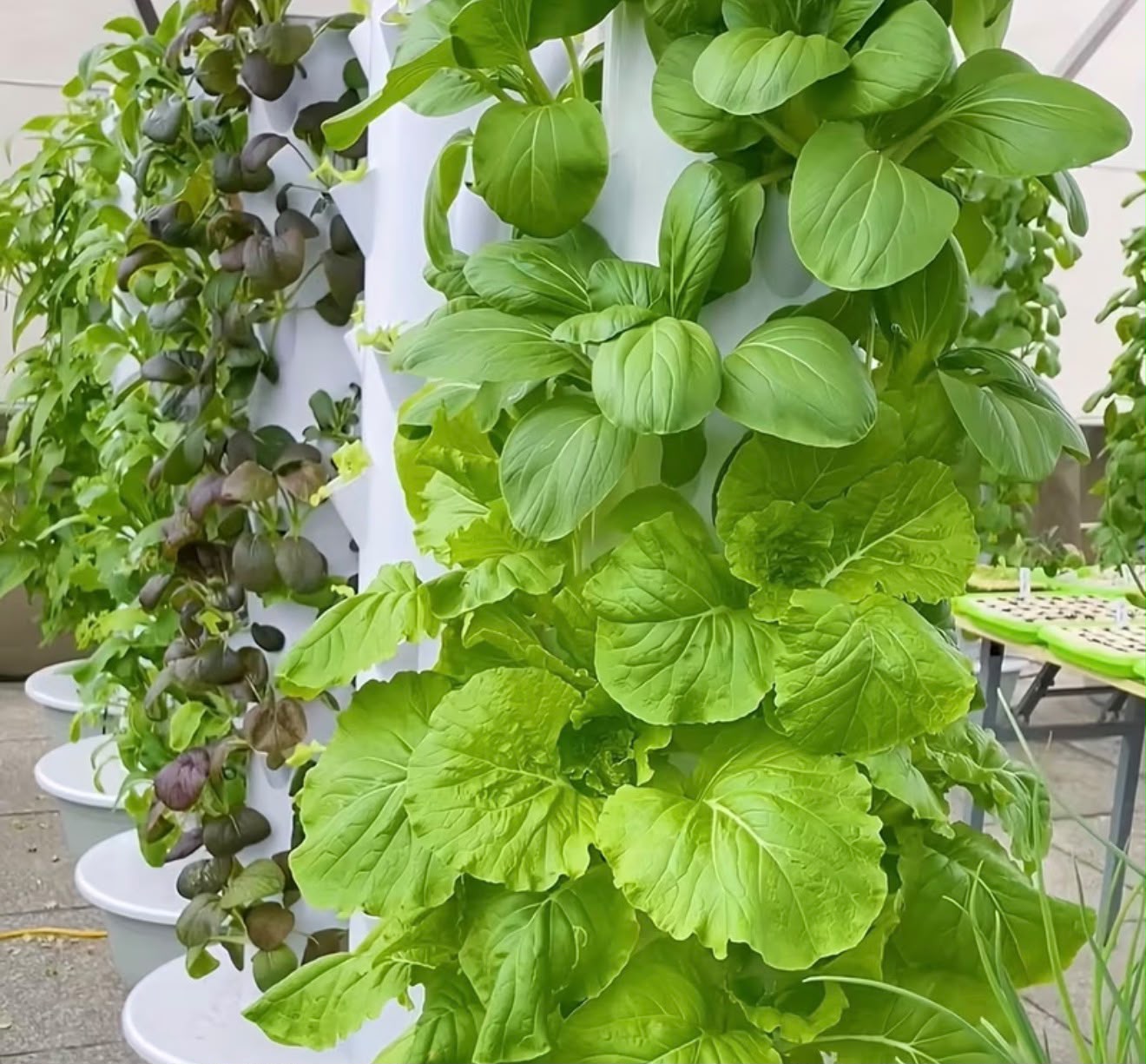 9 Row Tier Hydroponic Tower Vertical Hydroponic System Soilless Cultivation Rack Garden Vegetable Strawberry Planting Pipes