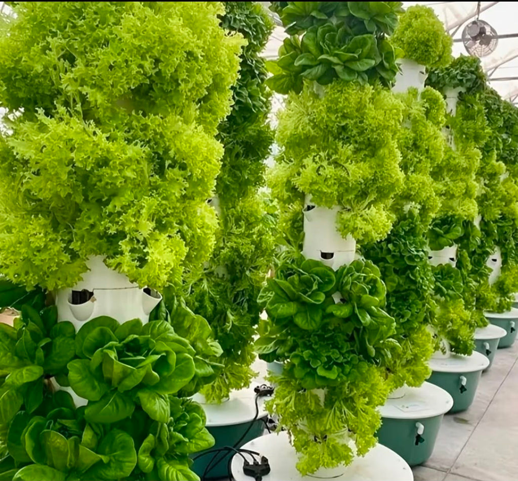 9 Row Tier Hydroponic Tower Vertical Hydroponic System Soilless Cultivation Rack Garden Vegetable Strawberry Planting Pipes