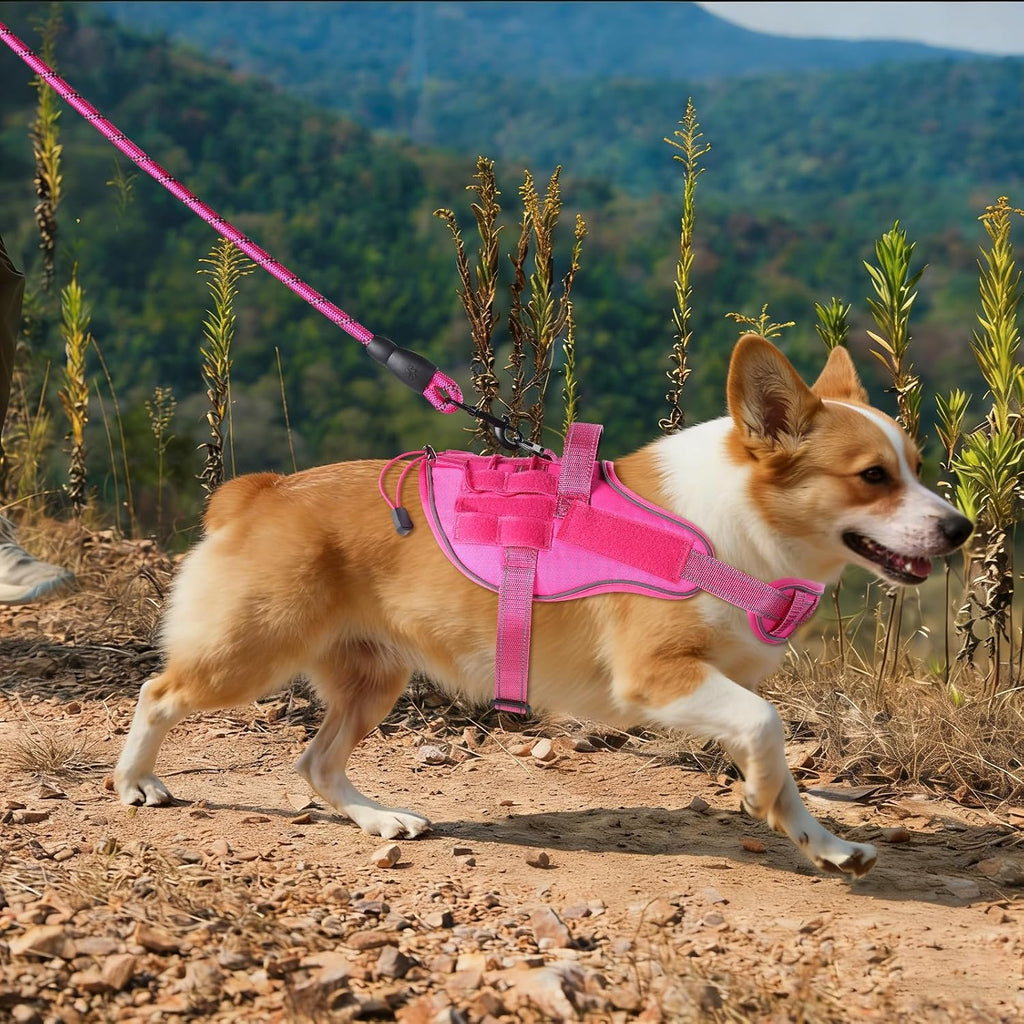 Service Dog Vest, No Pull Dog Harness Small Medium Sized Dog, Service Dog Harnesses and Leash Set, Reflective Easy Walk Dog Vest Harness with Handle, Service Animal Vest for Dogs(Pink, M)