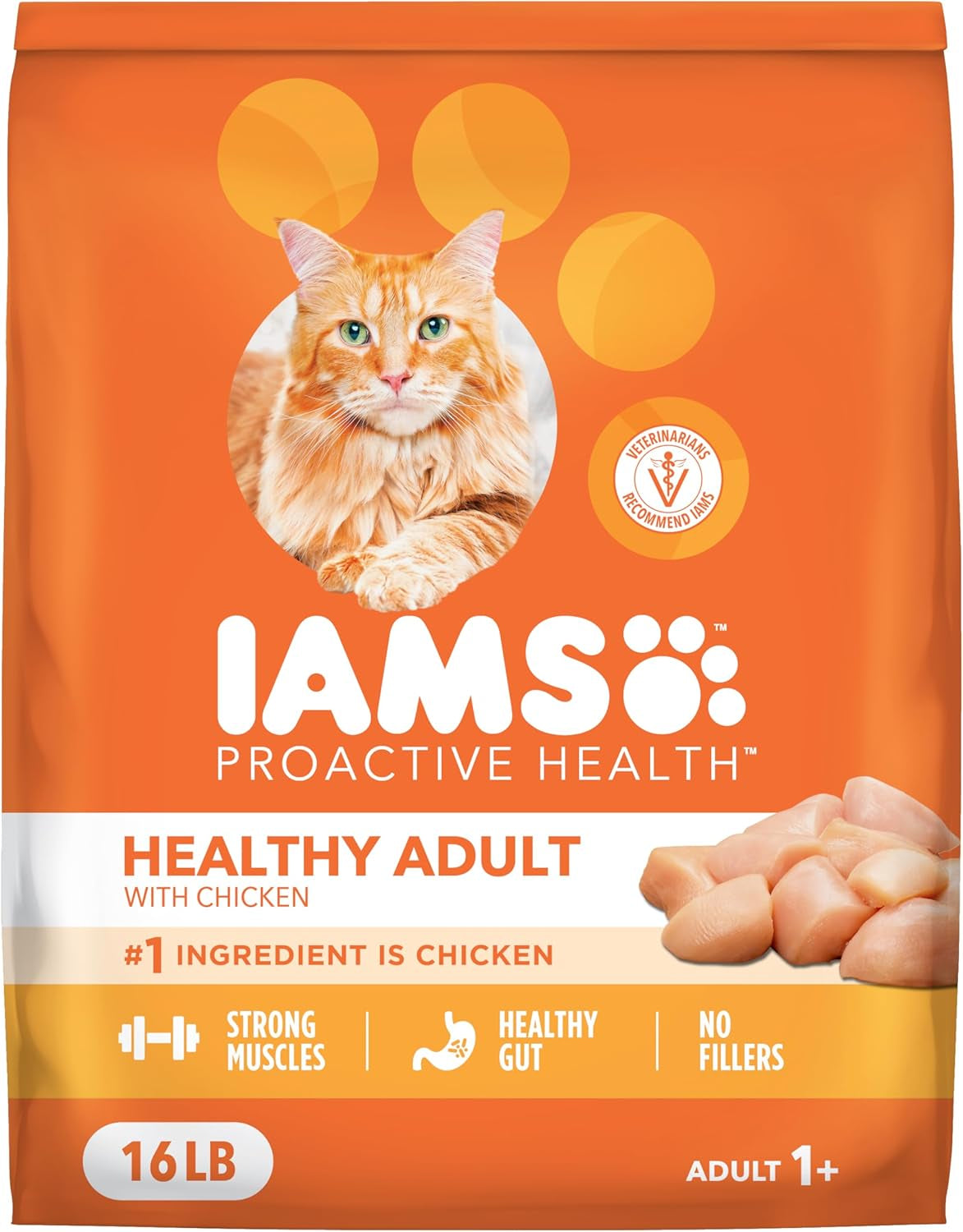 Proactive Health Healthy Adult Dry Cat Food, Chicken, 7 Lb | Veterinarian-Recommended, Real Chicken #1 Ingredient, Chicken & Egg Protein, Wholesome Grains for Energy, Supports Muscles
