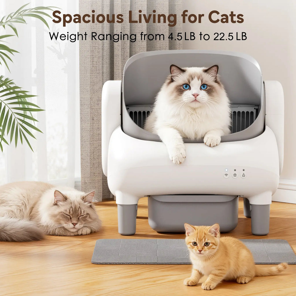 Automatic Litter Box for Multi-Cat Homes - Open-Top, APP Control, 2.4G Wifi Only, Safety Sensors, Odor Lock, 10.5L Large-Capacity Sealed Leak-Proof Waste Bin Self-Cleaning Cat Litter Tray