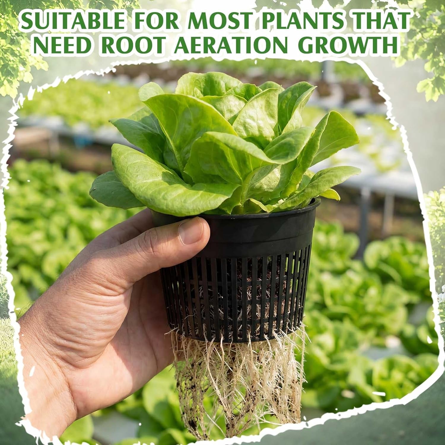 16 Pcs Aquatic Plant Pots 6 Inch round Pond Plant Baskets Net Pots for Hydroponics Black Plastic Mesh Pond Containers for Hydroponics Live Aquarium Flowers