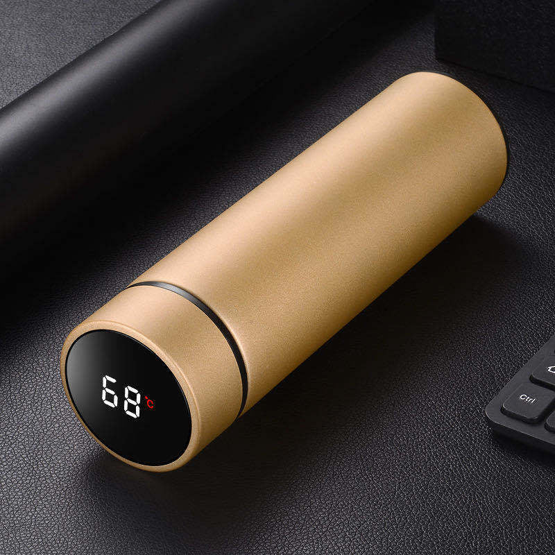 450Ml Stainless Steel Water Bottle Double Wall Vacuum Insulated with Thermometer 