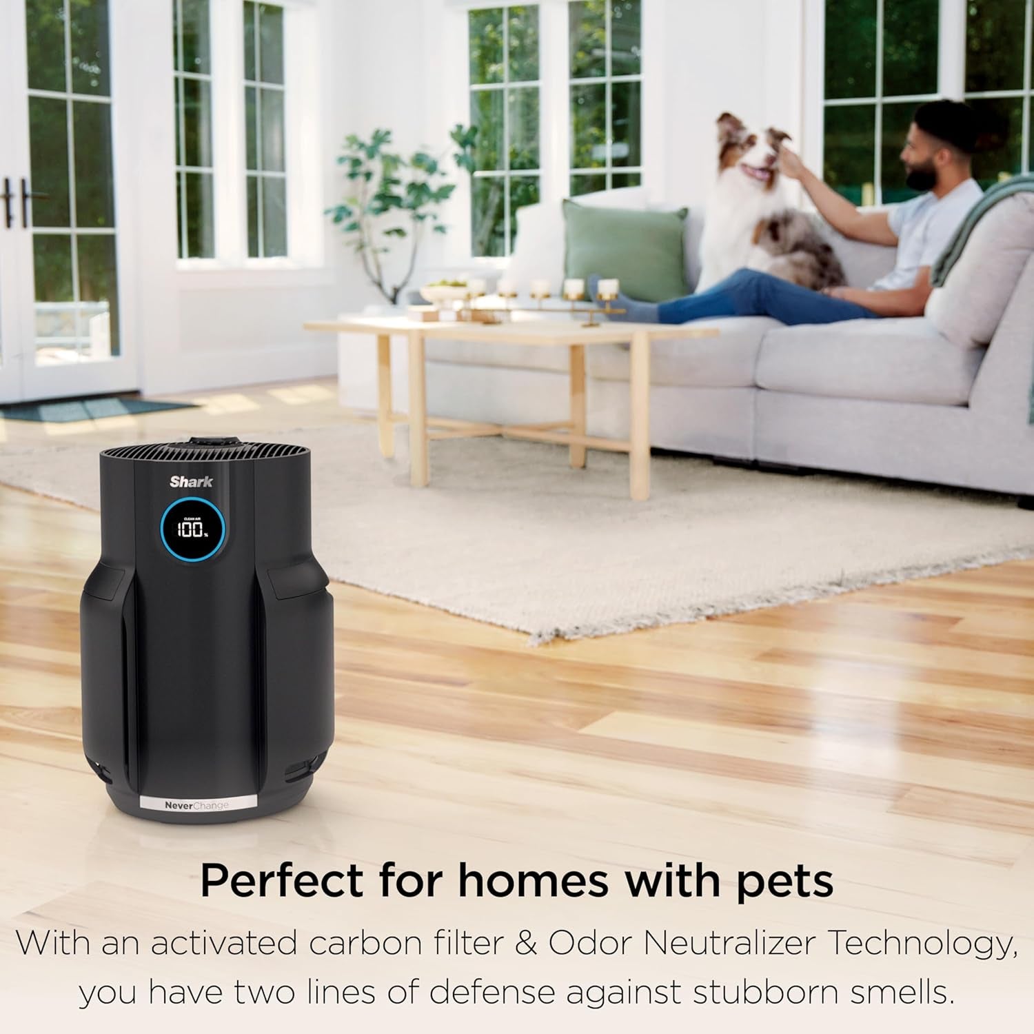 Shark Air Purifier for Home, Neverchange, for Large Room, Hepa-Exceeding Filter, Captures Pollutants, Pet Dander, Dust, Odor, Smoke, and More, Odor Neutralizer, HP152, Charcoal