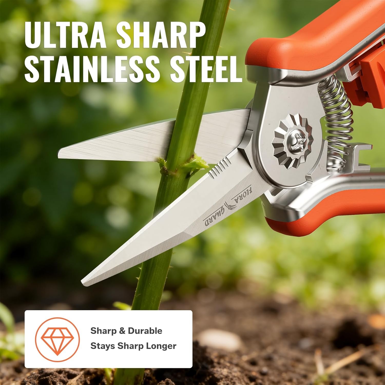 6.5" Pruning Shears 3-Pack with Straight Stainless Steel Blades, Ultra Sharp Precision Cut, Easy Lock, Comfortable Grip, for Indoor Plants & Hydroponics